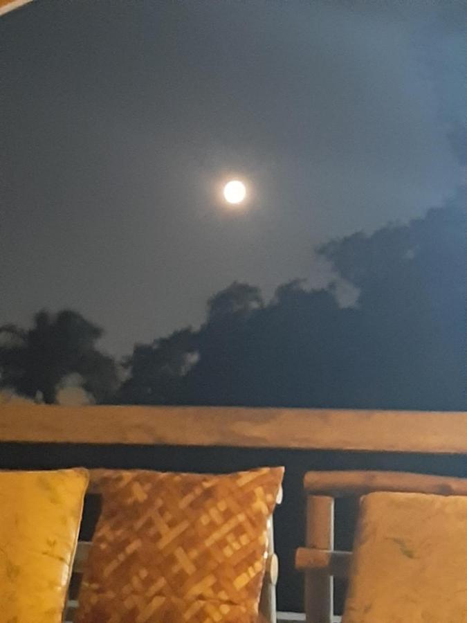 Manacas Da Serra *